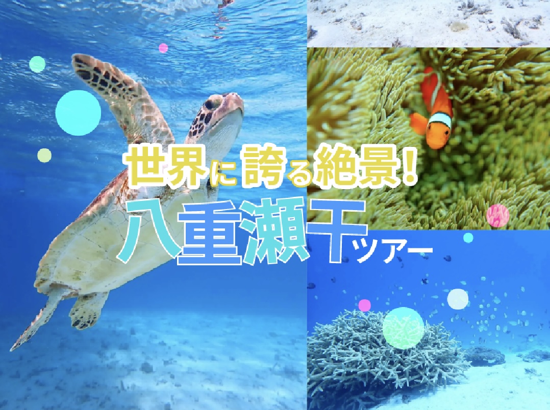 世界に誇る絶景！八重干瀬（やびじ）ツアー