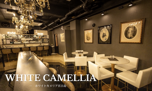 宮古島の夜を彩るWhite Camellia