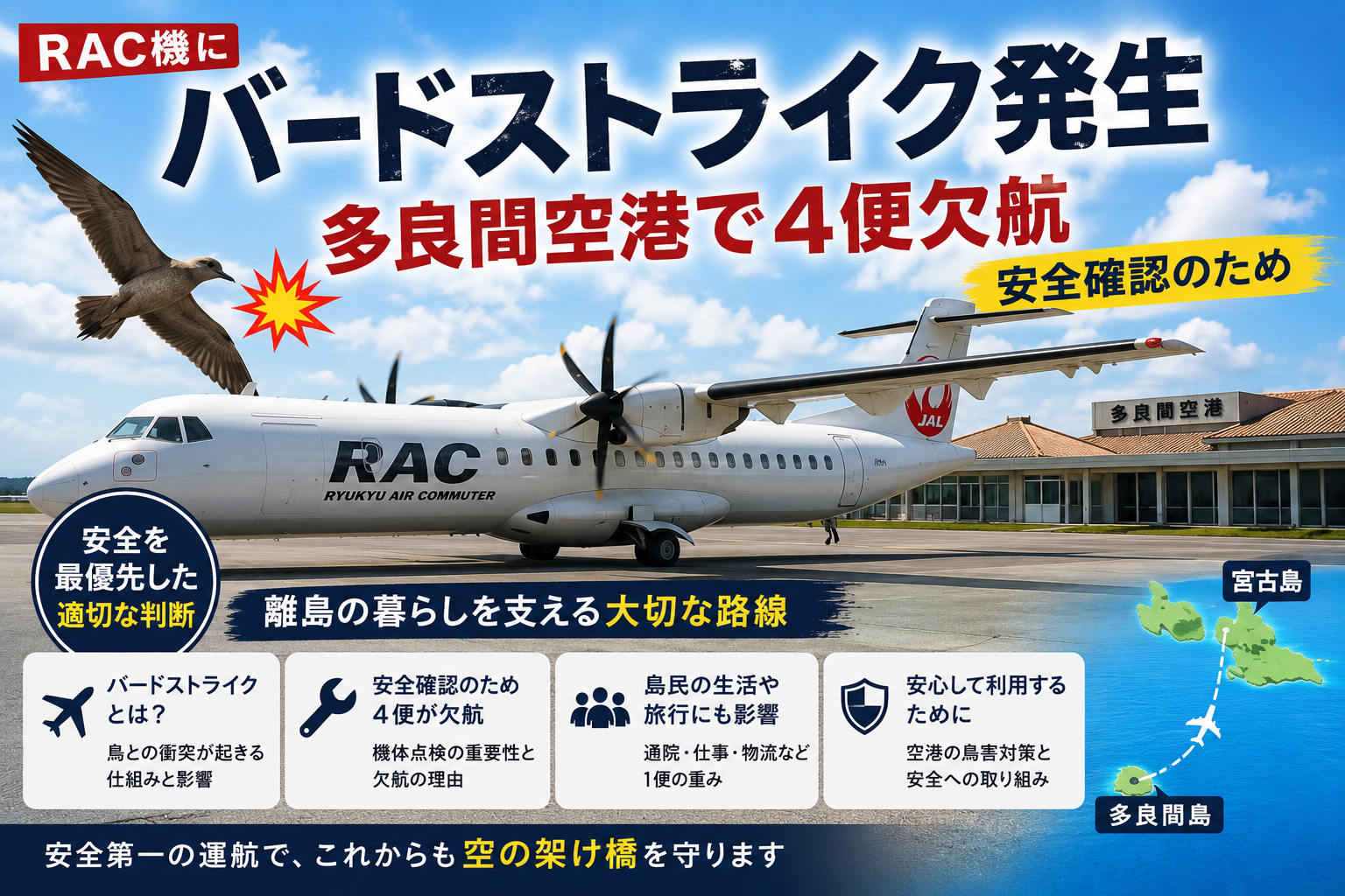 RAC機にバードストライク 多良間空港で欠航 離島路線だからこそ「安全