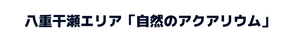八重干瀬エリア「自然のアクアリウム」